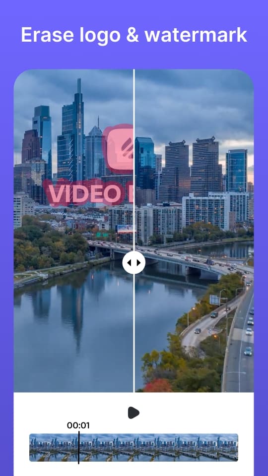 App screenshot showing video processing