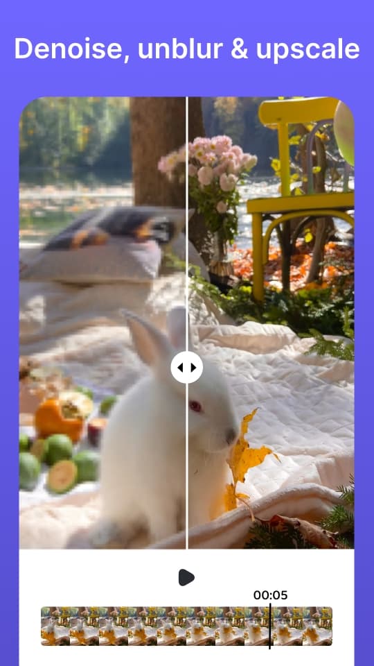 App screenshot showing final result